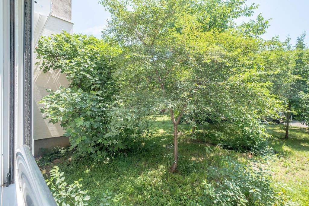 Top Location, Brand New 3 Bdrm Apt & Free Parking Sofía Exterior foto